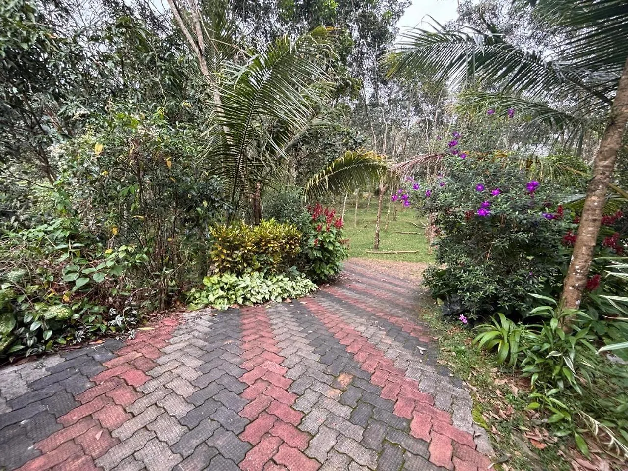 Casa Grande Homestay Anaviratty Munnar