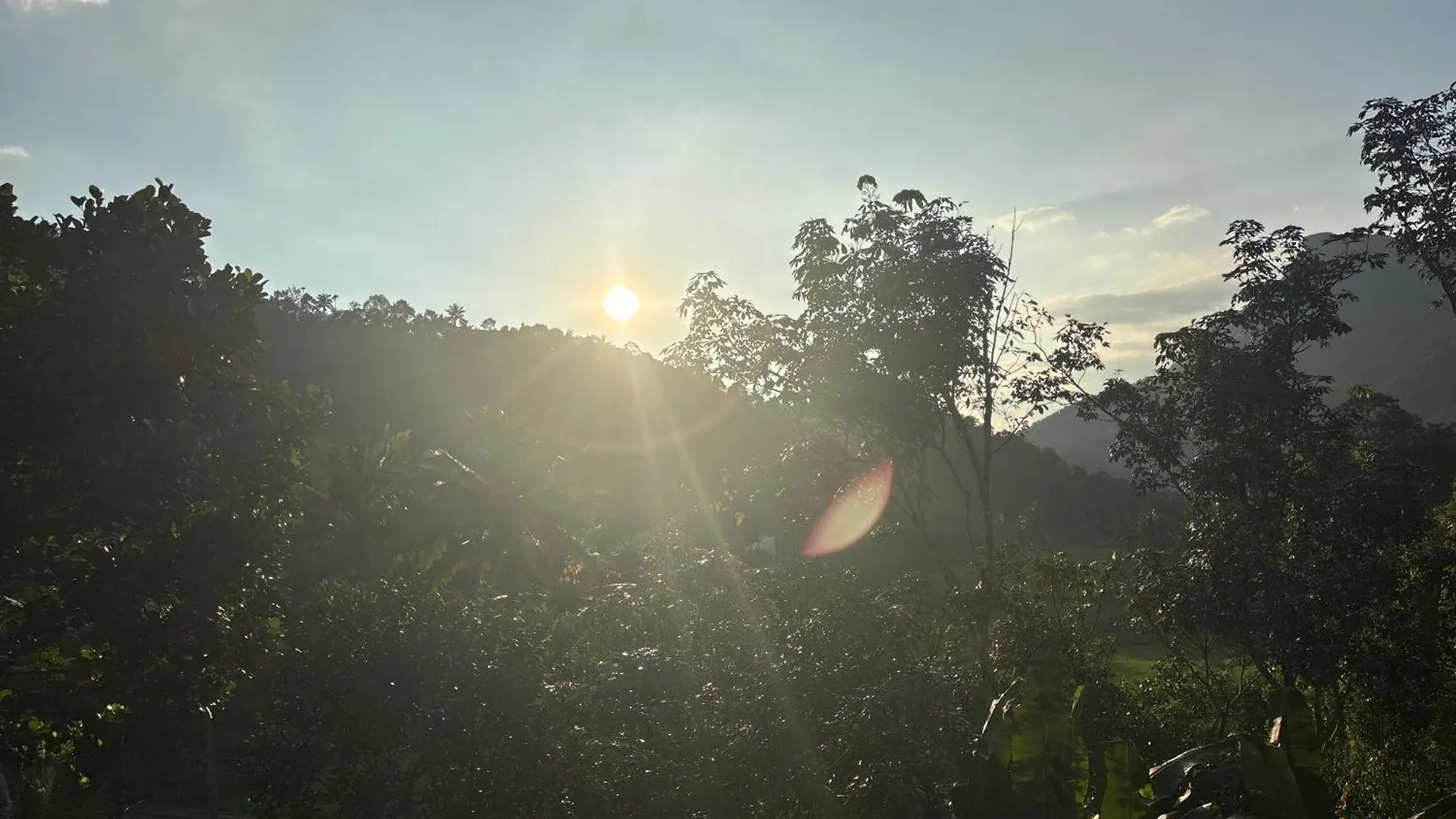 Casa Grande Homestay Anaviratty Munnar