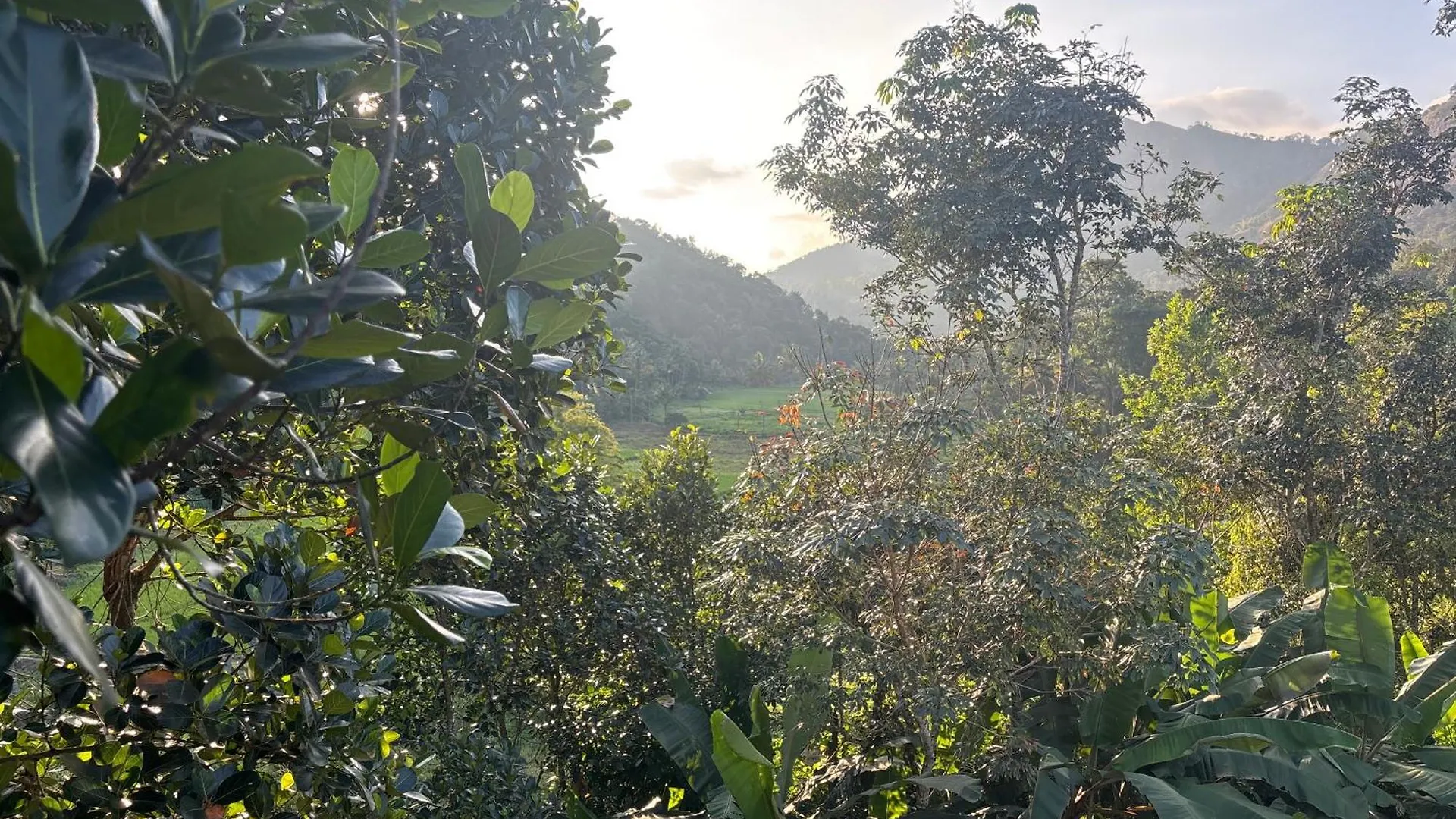 Casa Grande Homestay Anaviratty Munnar