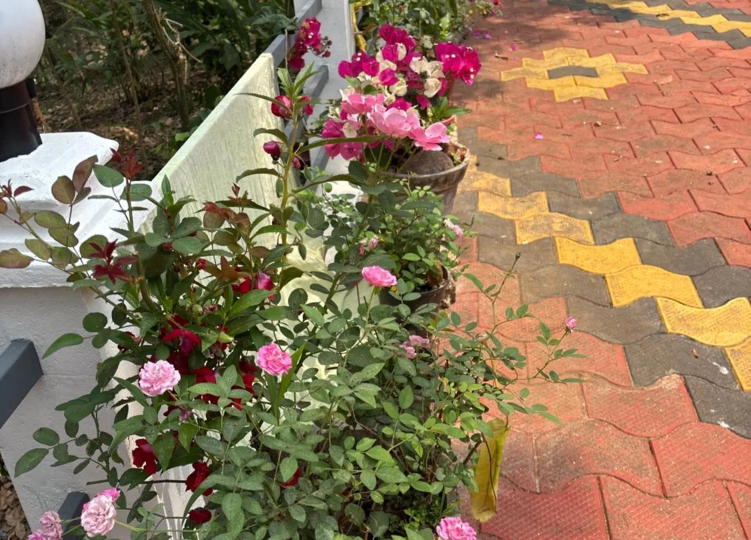 Casa Grande Homestay Anaviratty Munnar