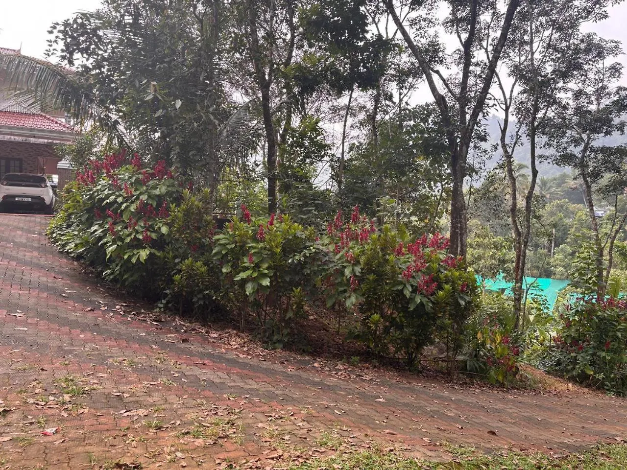 Casa Grande Homestay Anaviratty Munnar