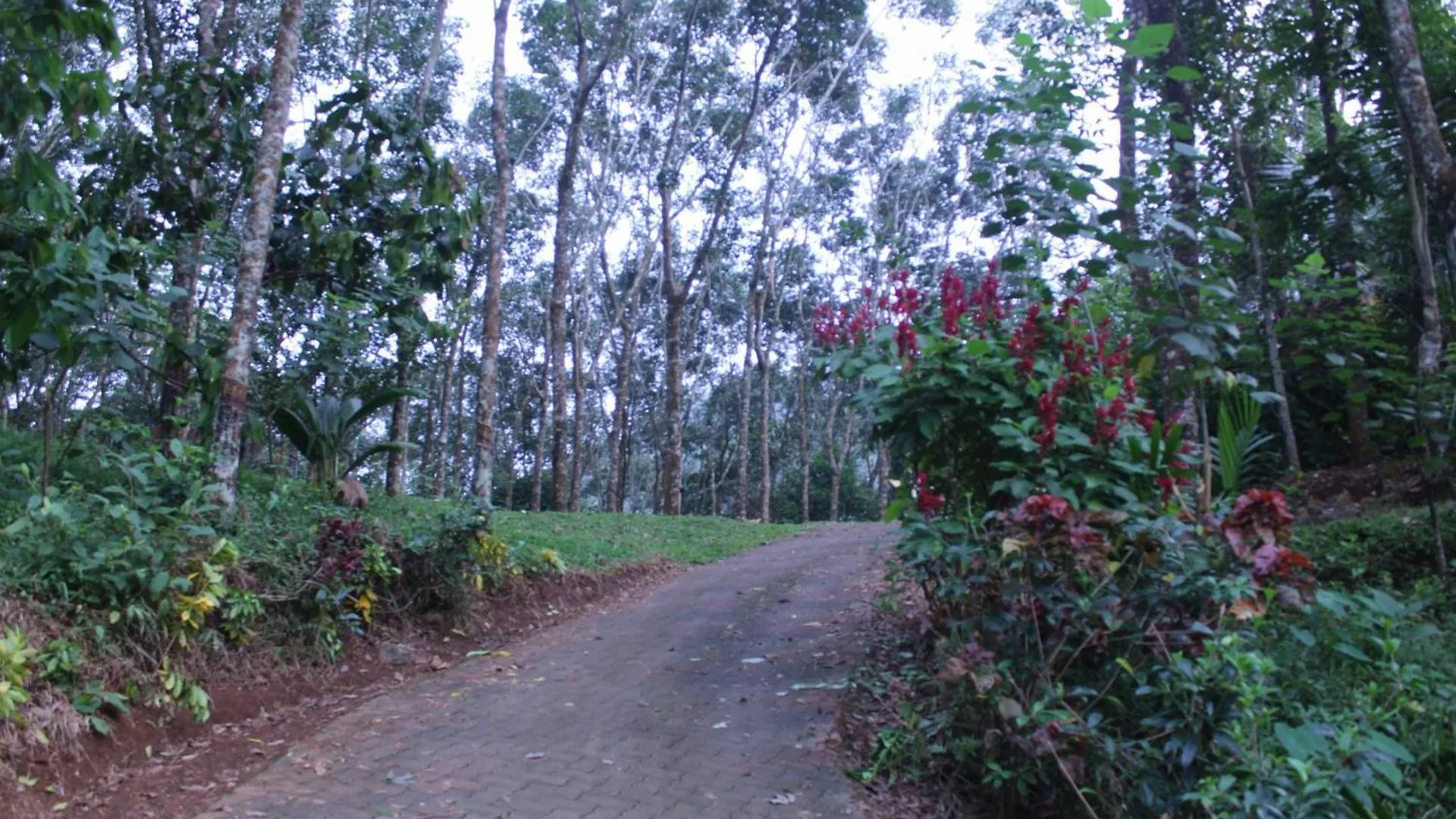 Casa Grande Homestay Anaviratty Munnar