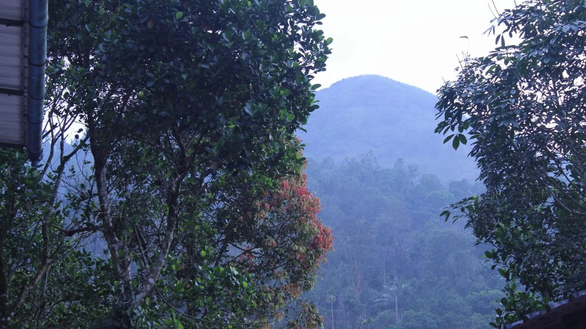 Casa Grande Homestay Anaviratty Munnar