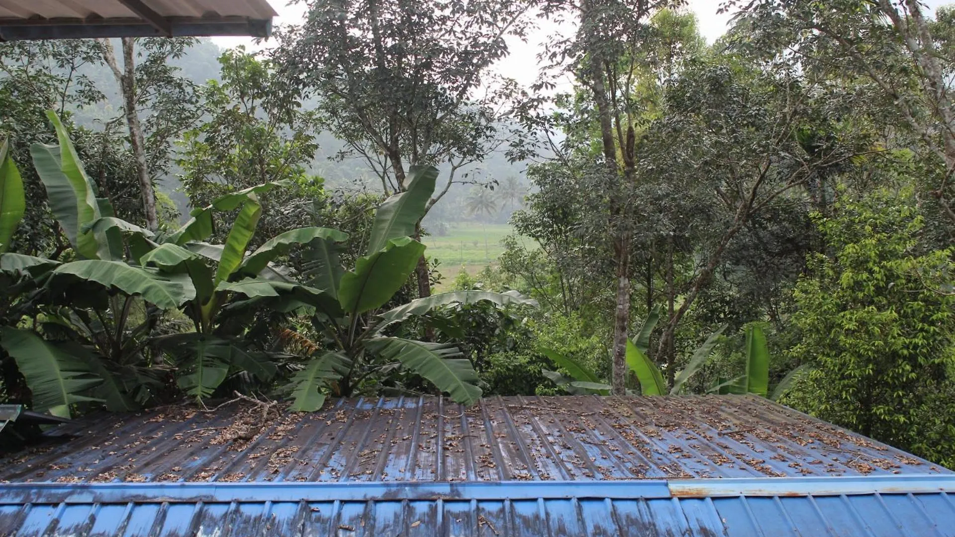Casa Grande Homestay Anaviratty Munnar
