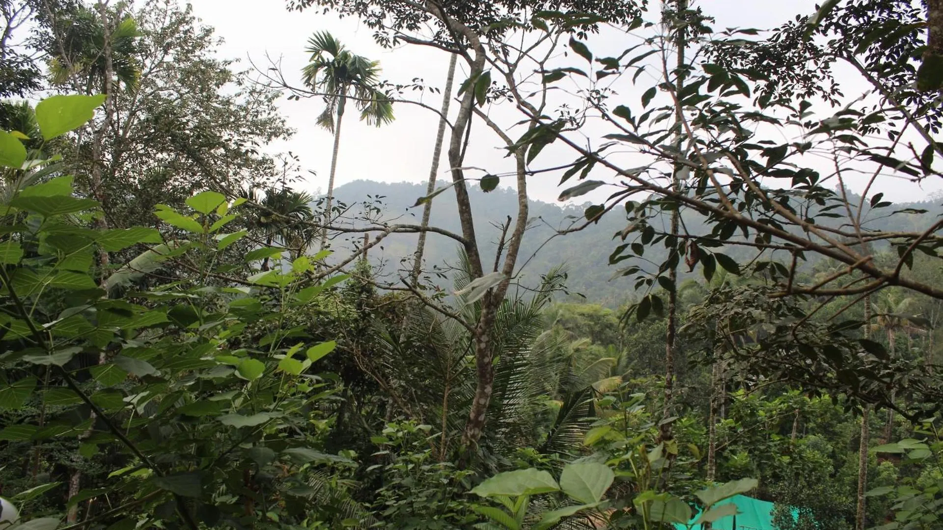 Casa Grande Homestay Anaviratty Munnar India