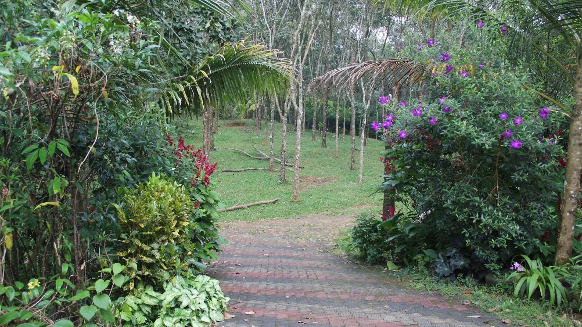 Casa Grande Homestay Anaviratty Munnar