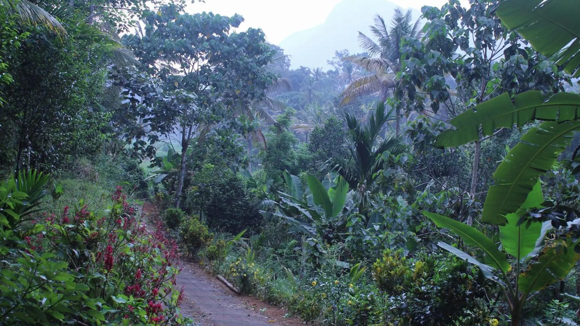 Casa Grande Homestay Anaviratty Munnar