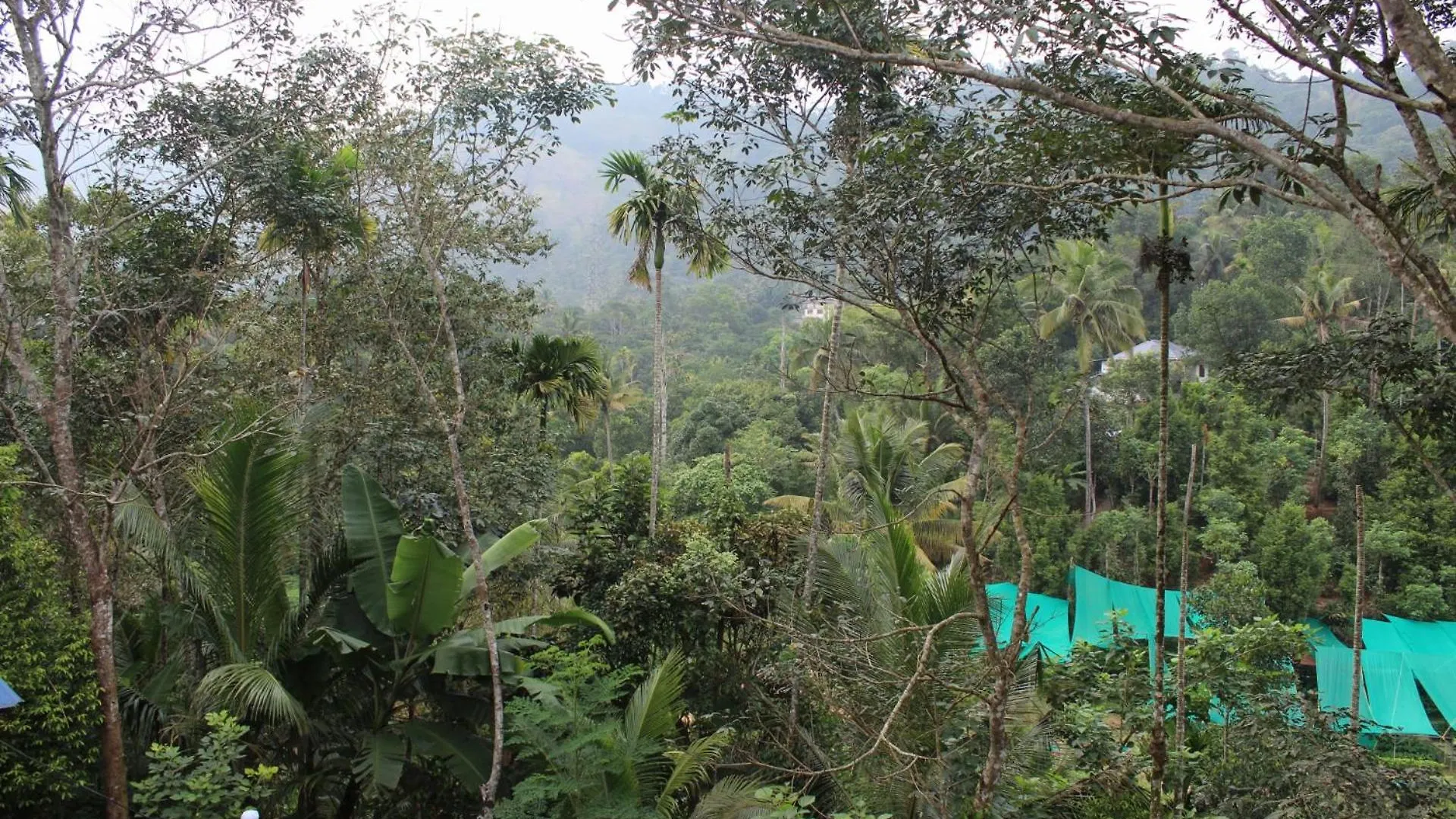 Casa Grande Homestay Anaviratty Munnar