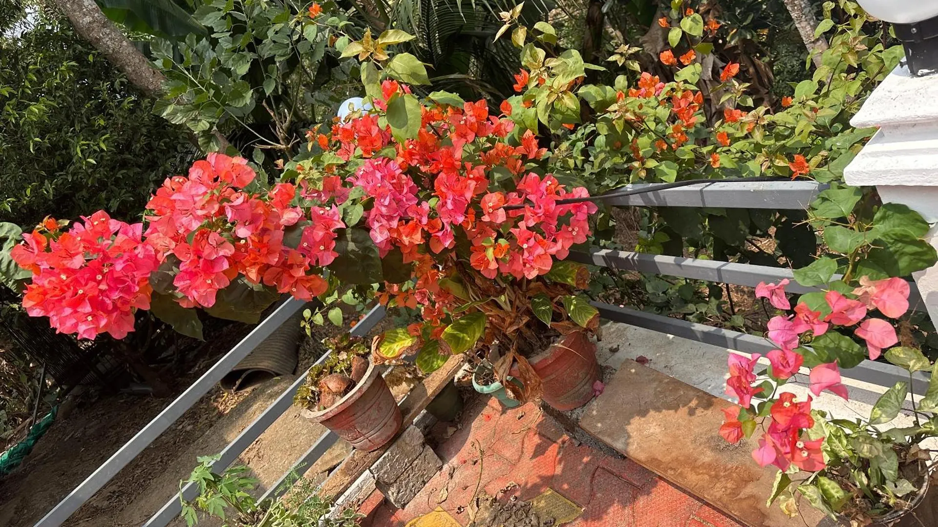 Casa Grande Homestay Anaviratty Munnar