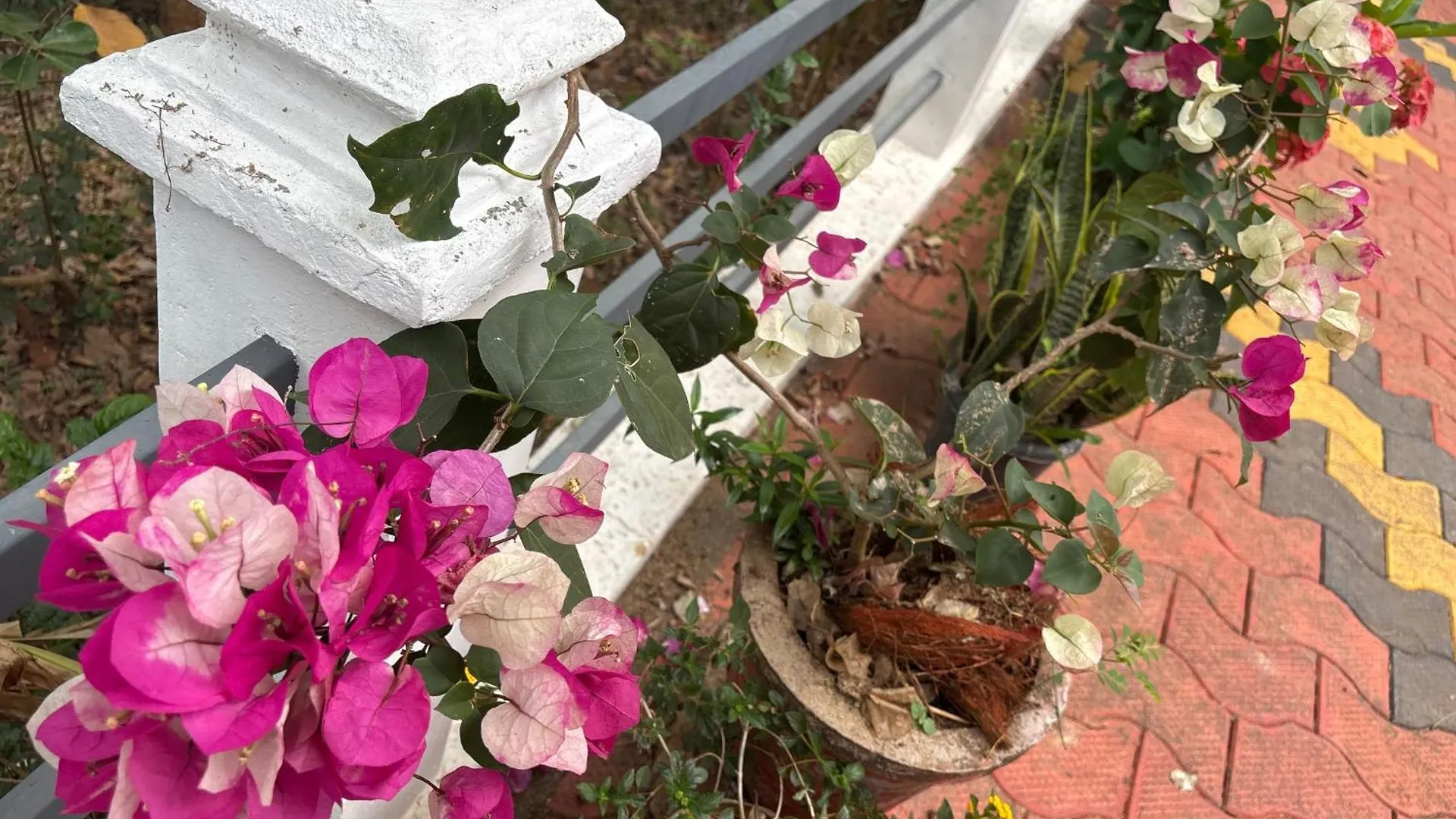 Casa Grande Homestay Anaviratty Munnar India