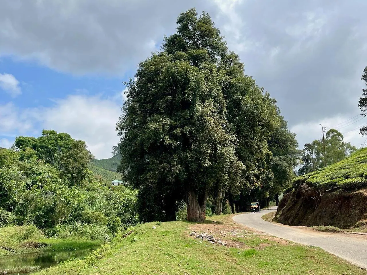 Casa Grande Homestay Anaviratty Munnar 0*,