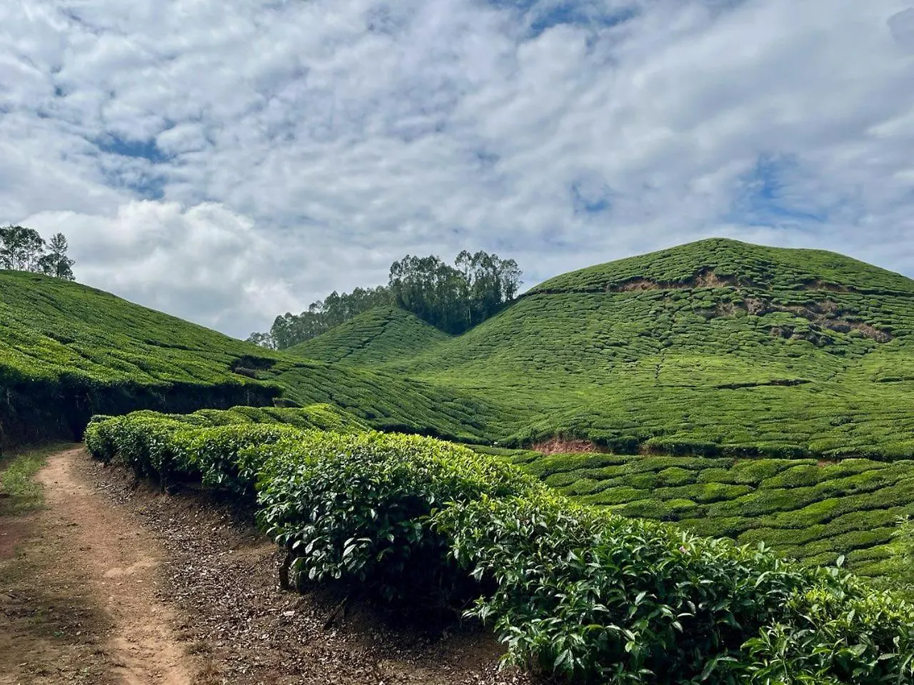 Casa Grande Homestay Anaviratty Munnar